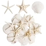 HAPYSHOOP 16 Pieces Starfish and Scallop Shells for Crafts 2.6'-3.8' Large Seashells Natural Sea Shells for...