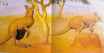 Paperback Baby Animals ???? [Chinese] Book