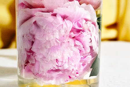 Amazon | SHIRO PERFUME PEONY BLISS オードパルファン 100mL 香水