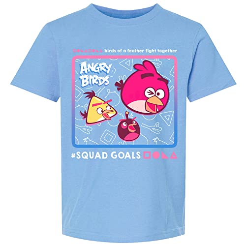 ANGRY BIRDS Official Squad Goals Short Sleeve Printed 100% Cotton T-Shirt for Boys, Girls, Unisex