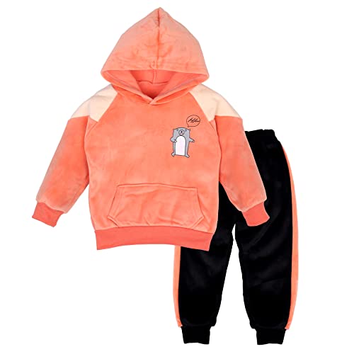 Image of Bold N Elegant Unisex Kids Velvet Fleece Solid Happy Hamster Bear Cartoon Warm Velvet Pullover Sweatshirt Hoodie Tshirt and Pyjama Pant Winter Clothing Set