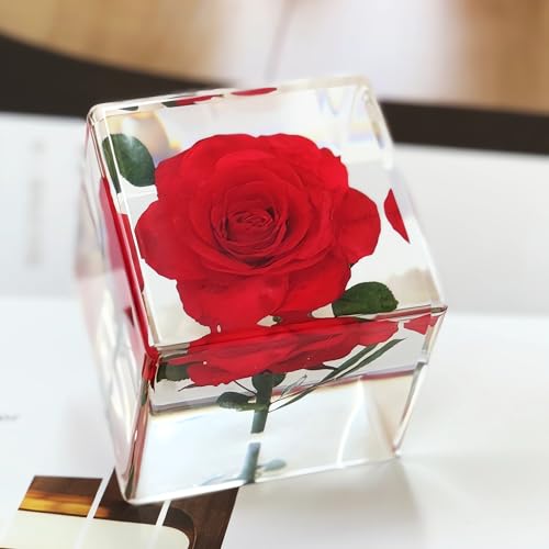 Image of Nature Plant Flower Rose Specimen in Resin Preserved, Science Educational Classroom Specimens, Clear for Closer-Look & Study. Novelty Crafts Decor Ornament, Amazing Unique Gift (Cube 1.9x1.9x1.9-inch)