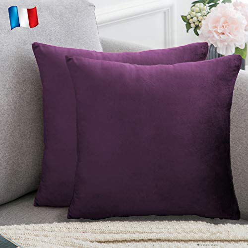 Douceur De Plumes Juego de 2 Fundas de cojín Berenjena 50x50 Terciopelo Decorativo Liso, Suave y Moderna Funda de Almohada Cuadrada, decoración escandinava Sala, sofá, Dormitorio (2 Berenjena)