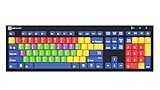 Logickeyboard Kids Learning Board • Teaching Vowels and Consonants, and Lowercase vs Capital Letters • for School and Private use • Plug-and-Play with Windows 7-11 - LKB-LBHS-BJPU-US