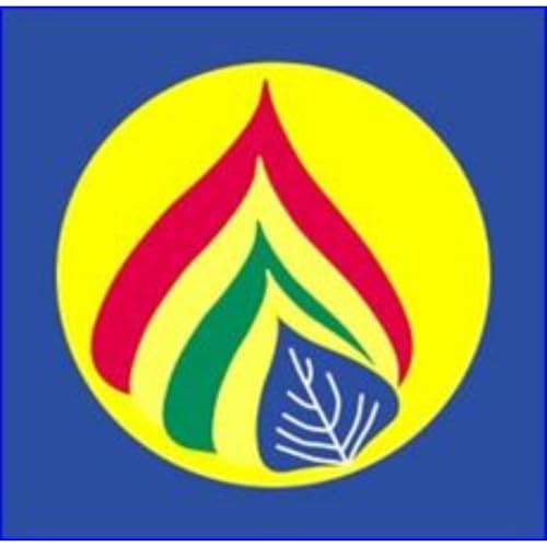 YEAR 10 APCS english assesment - Tate, Jaron and Giordan cover art