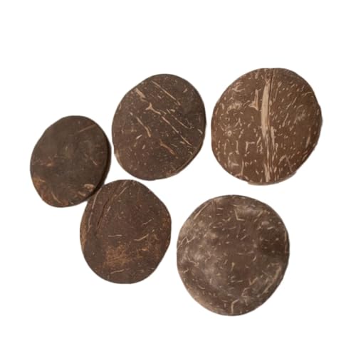 Chamalongos - Set of 4