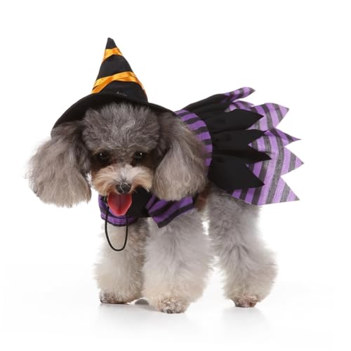 Disfraz de bruja para perro talla S POPETPOP miniatura 4