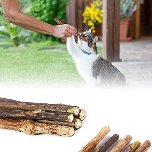 Icoloursky Silvervine Sticks (Natural,Organic) 15Pcs/Pack, Cat Toys, Cat Chew Stick Catnip Toys, Matatabi Silver Vine Chew Toys For Indoor Cats, Kitten, Kitty,Teething #TOP4