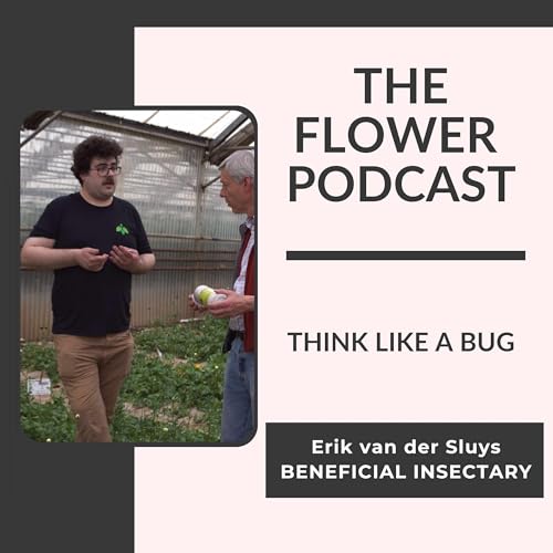 Using Beneficial Insects in Cut Flower Production with Erik van der Sluys