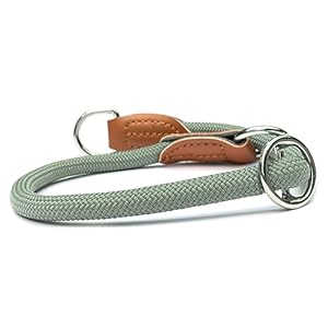 Leisegrün Adjustable Paracord Dog Collar | Nylon Collar | Model Devon | Green | Size: L