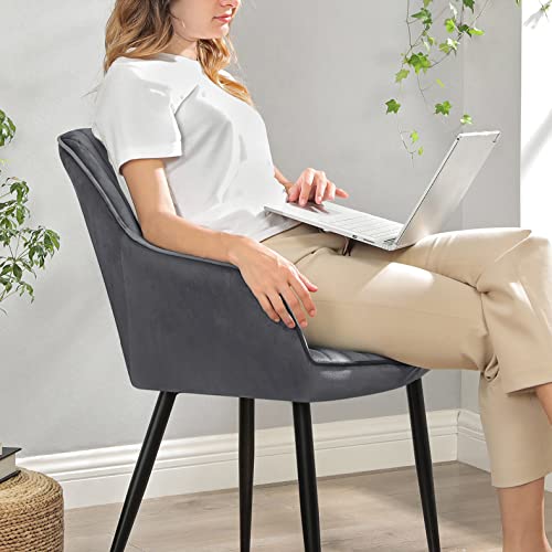 SONGMICS 2 Sedie da Pranzo, Poltroncine, Sedie