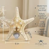 Nautical Crush Trading Real Starfish Night Light – Beach Night Light with Knobby Starfish – Shell Light for Bathroom – Sea Shell Lamp – Seashell Lamp Plug Into Wall