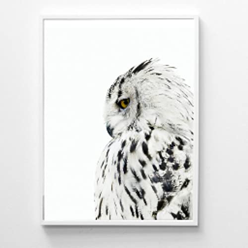 Toile hibou blanc déco salon moderne tableau réaliste scandinave 60x80 sans cadre