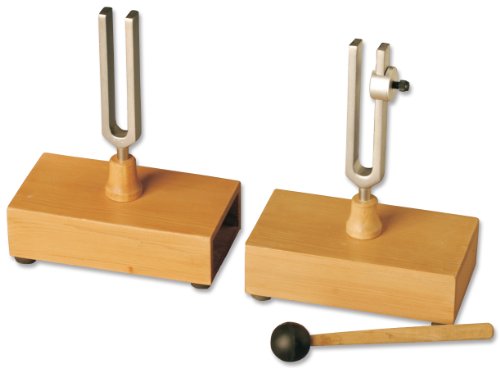 Frey Scientific Chrome Plated Steel Sympathetic-Differential Tuning Fork Set
