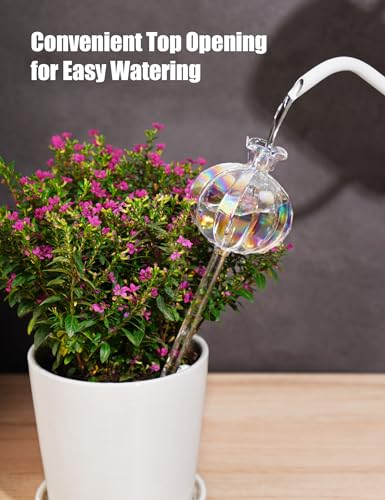 Globe d'irrigation en verre en forme de cactus irisé NiHome