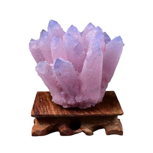 VR  u  򉻗p z W{ Ϗܗp   J^ p  z[ ObY NX}X VN v[g/Mtg/ItBXrOANZT[ (410~500 g+x[X,sN) [sAi]