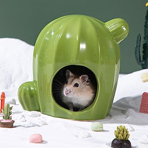 Nid de cochons d'Inde et hamsters : l'accessoire fraîcheur pour l'été - 6