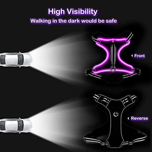 Image of Light Up Dog Harness, Rechargeable LED Dog Vest for Night Walking