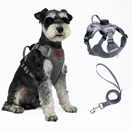 AirTagz_[tLbgn[lXƃ[VZbg:ǂꂽEoh~xXgA^AqA^L̎UpA˃Xgbvt\tgŒʋĈ郁bVR[g(O[AXL)