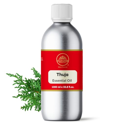 Image of Thuja Essential Oil 1 L (1000 ml) Thuja Occidentalis 100% Pure and Natural Steam Distilled