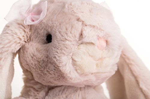 Dilly Dudu Ballerina/Ballet Bunny Plush Toy Stuffed Animal Rabbit Doll 10-Inch(Pink) #TOP3