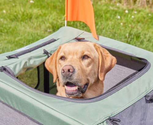 Knuffelwuff Cruvado Hundeanhänger & Buggy | Fahrradanhänger für Hunde bis 45kg | faltbar, leicht & stabil | mit Sicherheitsleine, Reflektoren, Insektenschutz & Universalkupplung