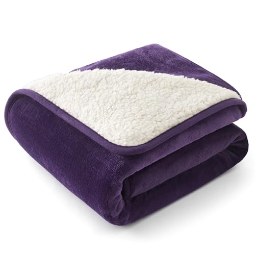 Image of Bedsure Waterproof Dog Blankets for Small Dogs - Small Cat Blanket Washable for Couch Protection, Sherpa Fleece Puppy Blanket, Soft Plush Reversible Throw Furniture Protector, 25 inchX35 inch, Eggplant