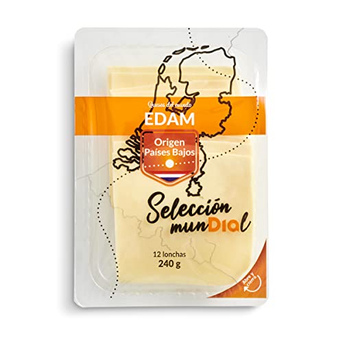 DIA SELECCIÓN MUNDIAL queso edam en lonchas envase 240 gr