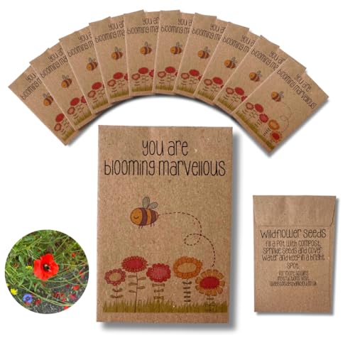 Thank You Wildflower Seed Packets (10 Pack) Eco Friendly Plastic Free Gifts UK Sourced Wildflower Mix for Weddings Teachers Friends & Corporate Events
