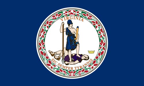 Drapeau de société en nylon Virginia State Valley Forge grand format 4x6 - 2