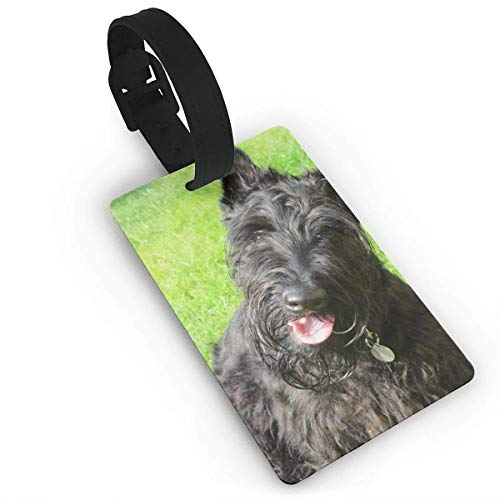 Etiquetas de Equipaje Scottish Cute Scottish Terrier Raza de Perro Etiqueta de Nombre de PVC Identificación de Maleta de Viaje Etiquetas de identificación Etiqueta de Equipaje Duradera