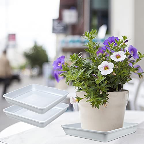 Lnq Luniqi 10 Pcs 6 Inches Square Plastic Plant Saucer Flower Pot Bottom Seat Flower Pot Tray Thick Plastic Drip Tray For Garden Potted Water Drips And Soil （White） #TOP2