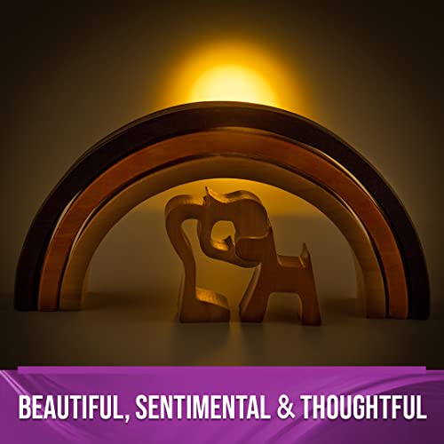 Capti Rainbow Bridge Dog Memorial Gifts, Cat Memorial Gifts - I'll Meet You At The Rainbow Bridge - Pet Loss Gifts, Bereavement, Sympathy Keepsake Dog Mom, Dog Dad For Loss Of Pet (Dog And Mom) #TOP5