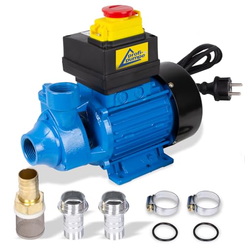 DIESELPUMPE HEIZÖLPUMPE ÖLPUMPE Biodiesel Diesel Profi 600 ELEKTRISCHE 230V DIESELPUMPE 600 Watt Leistungsstarker Motor 2.400 L/h (Profi 600-4 - Pumpe) Gebraucht (Gut) und OHNE Zubehör