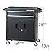 TANKSTORM Tool Chest Heavy Duty Cart Steel Rolling Tool Box with Lockable Doors (TZ12 Black)