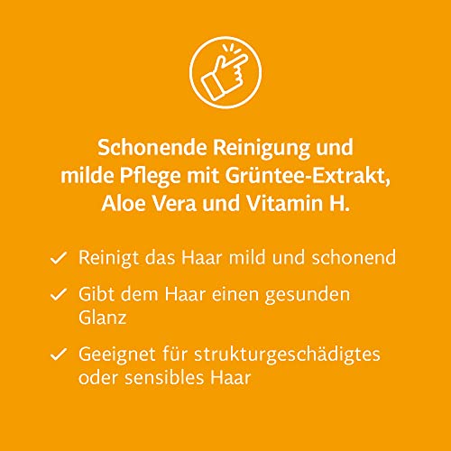 Biotin Shampoo von BIO-H-TIN für sanfte Haarpflege