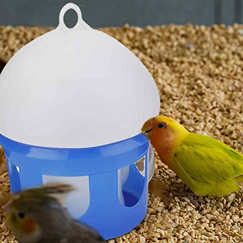 Dispensador de água para pássaros, Fonte de água automática de design de grande diâmetro, Alimentado