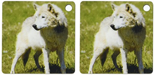 Porte-clés loup sauvage pour organiser vos clés de voiture