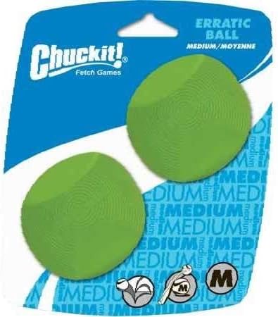 chihuahua teddy bear mix