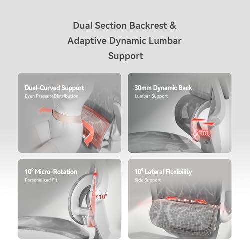Image of SIHOO M59AS Ergonomic Office Chair, Desk Chair with 3D Flip-up Armrests, Computer Chair with Dual Back Design and Adaptive Dynamic Lumbar Support Grey