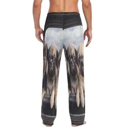 ALAZA Men's Three Pug Chihuahua Puppies on The Truck Sleep Pajama Pant2