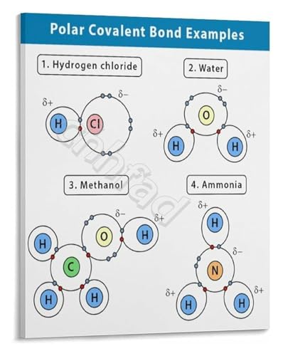 Chemical Bonding Poster Polar Covalent Bond Examples and Diagrams Science Educational Wall Chart for Students(Unframed,12x18inch
