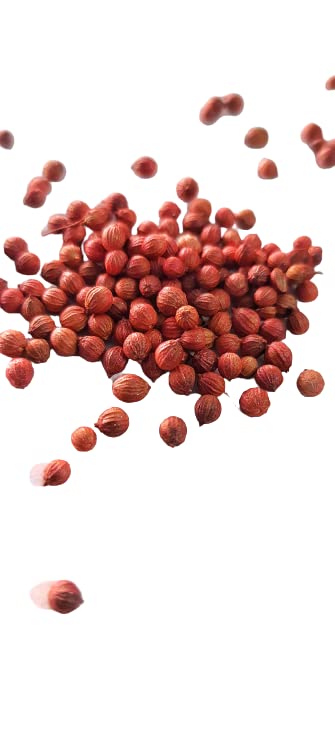 City Farmer - Coriander Organic Seeds For Kitchen Gardening ( Pack Of 500 Plus Seeds) (B09TSQRXJD) Amazon Price History, Amazon Price Tracker