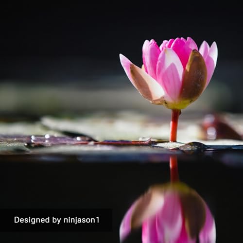 Heal from the Inside Out Series #33: Embrace Your Body's Ability to Heal