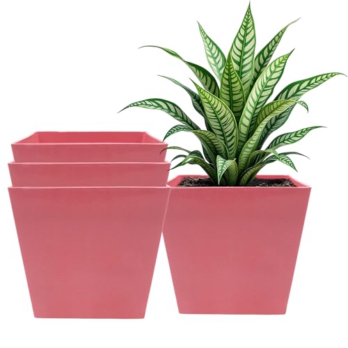 Image of POTS4NATURE Square Pots for Plants | Lightweight Plastic Flower Pot for Indoor & Outdoor Home /Office /Table /Garden /Balcony Decoration | Terracotta Color | 6 Inches (Pack of 4)