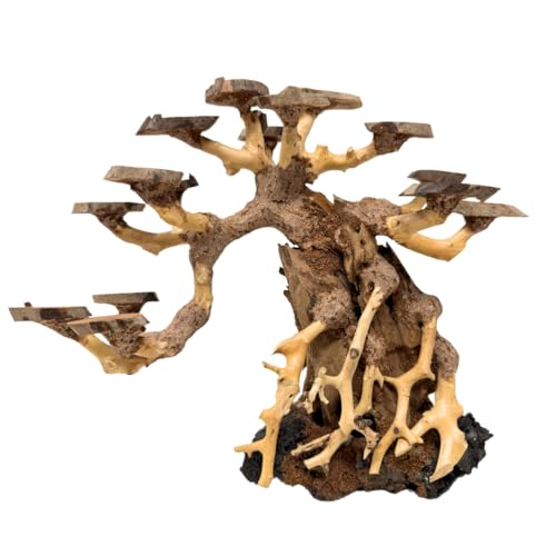Bonsai Driftwood Aquarium Trees on Rock (8