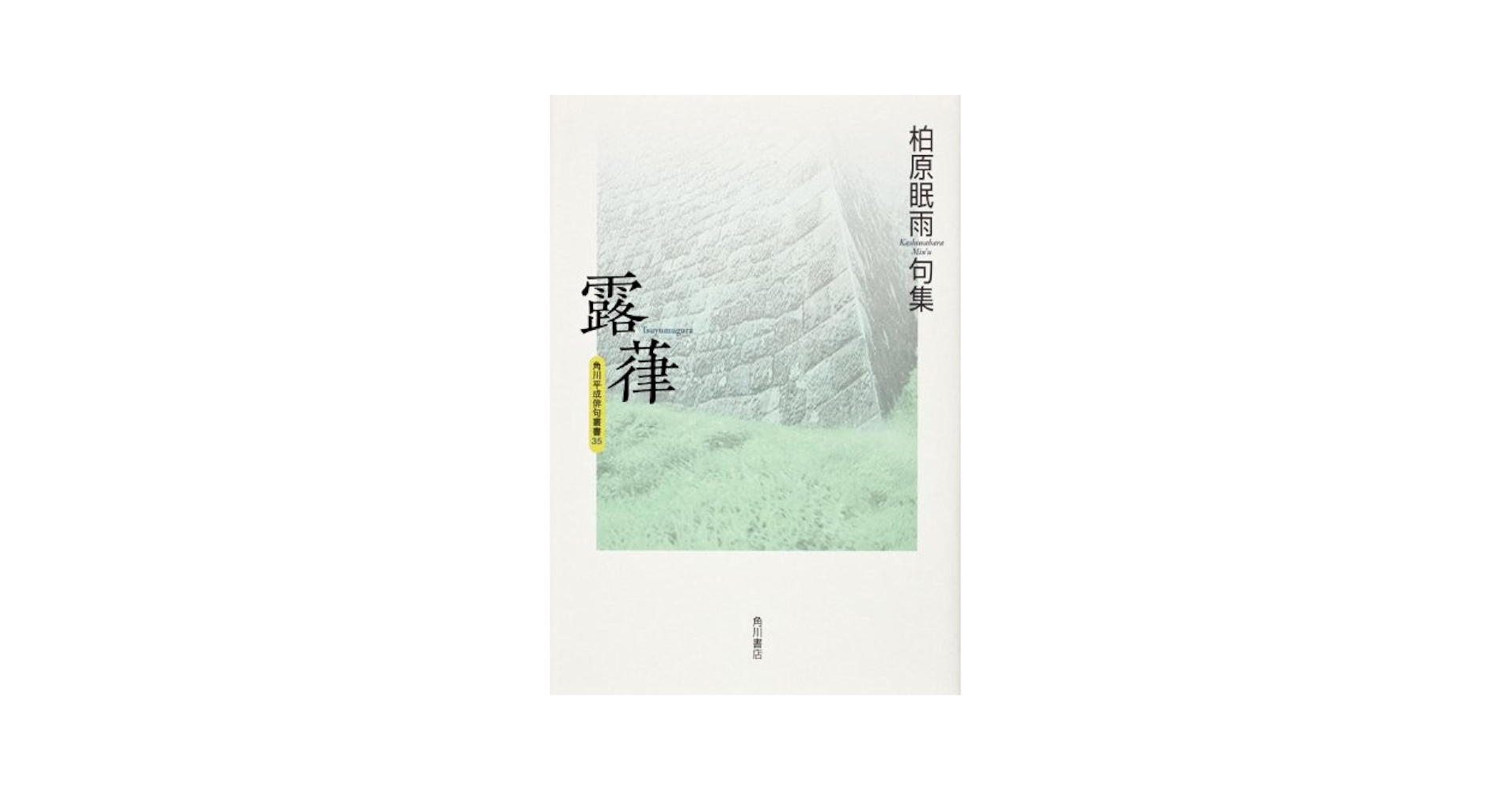 句集 雪舟(そり) (本阿弥新俳句叢書) 句集 雪舟(そり) (本阿弥新俳句叢書) 句集 峡谷 角川21世紀俳句