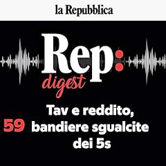 Couverture de Tav e reddito, bandiere sgualcite dei 5s