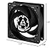 ARCTIC P8-80 mm Case Fan, Pressure-Optimised, Quiet Motor, Computer, Fan Speed: 3000 RPM - Black