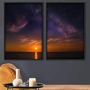 signwin 2 Piece Framed Canvas Wall Art Colorful...